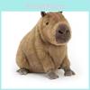 Capybara Plüschtier Niedliches Tier Stofftier Geschenk Für Kinder