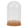 Glass Display Cloche Bell Jar Dome Flower Preservation Cover Wood Base DIY