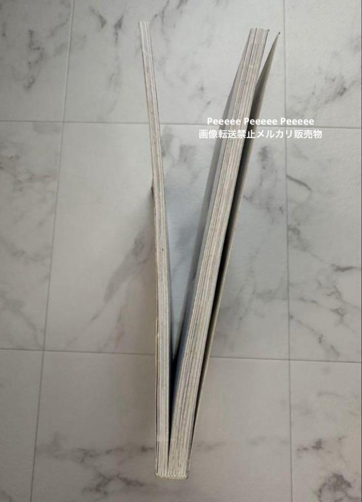 [USED] Final price Books Fashion Illustration Fashion Illustration