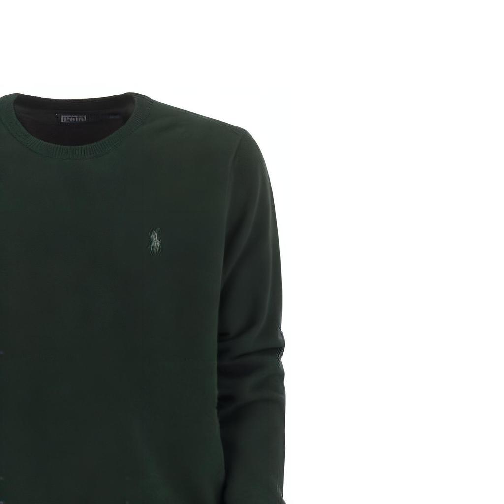 Polo Ralph Lauren Solid Logo Embroidered Casual Crew Neck Sweater Men Sweater Dark-Green 710876714002