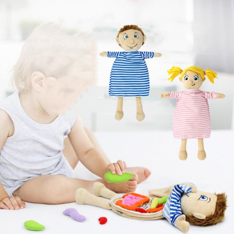 Children Cognitive Human Organ Body Structure Puzzle Plush Early Toys Education