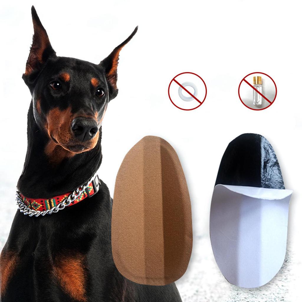 Pet Lrge Dogs Er