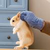 Gentle Hamster Play Gloves, Easy To Clean, for Small Pet Handling Gloves