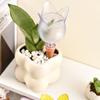 Clear Plant Automatic Watering System Balls Tulip Shape Self Watering Globes Plant Waterer