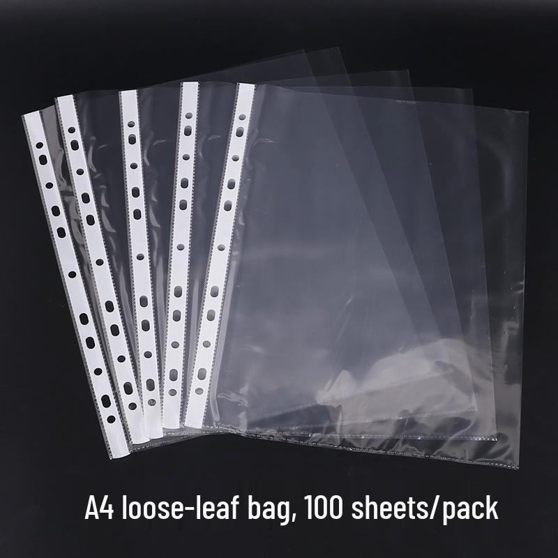 Clear A4 O-Ring Binder with Transparent Add-in Page Sleeves