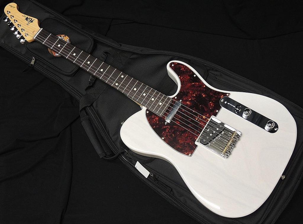 Fujigen Fujigen NTE10RAH WB Neo Classic SERIES Fujigen Telecaster Type White Blonde Electric Guitar