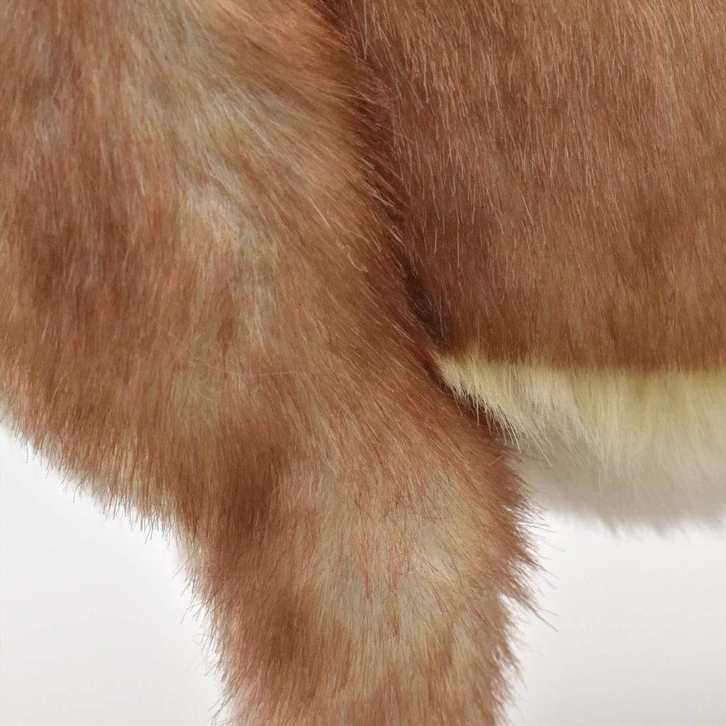 BH5207 HANSA Coyote 35