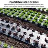 3.12 Ft X 32.81 Ft Mulch Film Thermostatic Weeding Prevention Planting Plastic Mulch Film Agricultural Use With Holes Grow Film