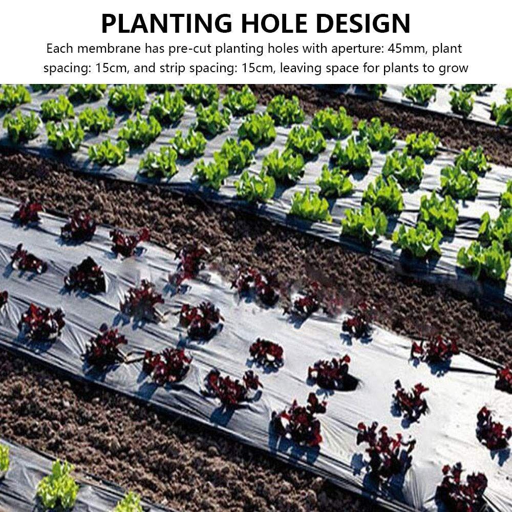 3.12 Ft X 32.81 Ft Mulch Film Thermostatic Weeding Prevention Planting Plastic Mulch Film Agricultural Use With Holes Grow Film