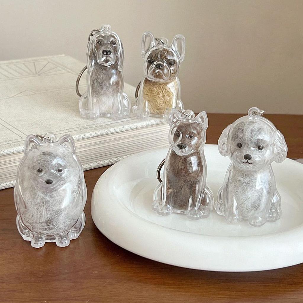Transparent Pet Memorial Keychain Pet Hair Bottle For Preserving Dog Hair And Ashes In A Leakproof Keepsake Capsule