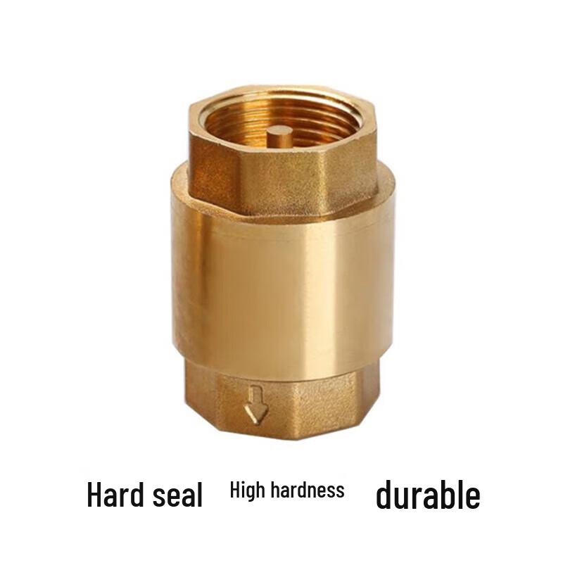 Naixin Brass Vertical Spring Check Valve