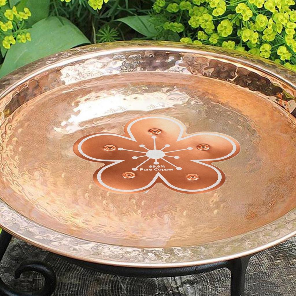 Bird bath tray Copper Bird Bath Disk Purification flower-shaped bird bath purification tray for Homeowners Gardeners Outdoor