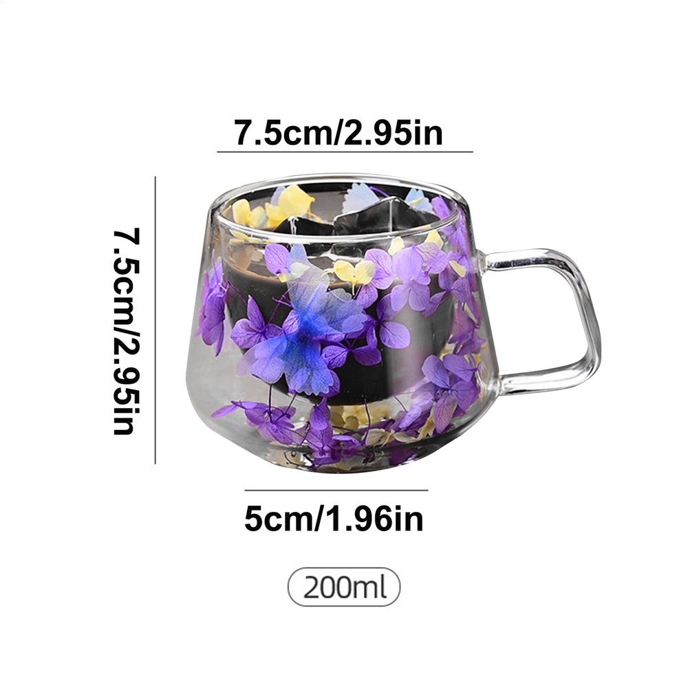 200ml Double Wall High Borosilicate Clear Glass Cup Dried Flowers Glass Tea Cup Coffee Mug with Handle Heat Resistant Tea Cups