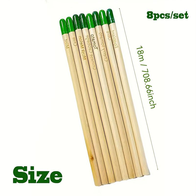Green Vegetable Gift Pencils - A Wonderful Gift - 8 Pieces per Set