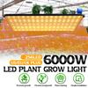 LED Wachstumslampe für Pflanzen 256 LED Grow Light Vollspektrum Phyto Lampe AC 85-265V Fitolampy Zimmerkräuter Licht für Gewächshaus Anbau 6000W
