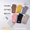 Knitted Gloves Wool Ladies Winter Thickened and Fleece Morandi Candy Color Maillard Gloves