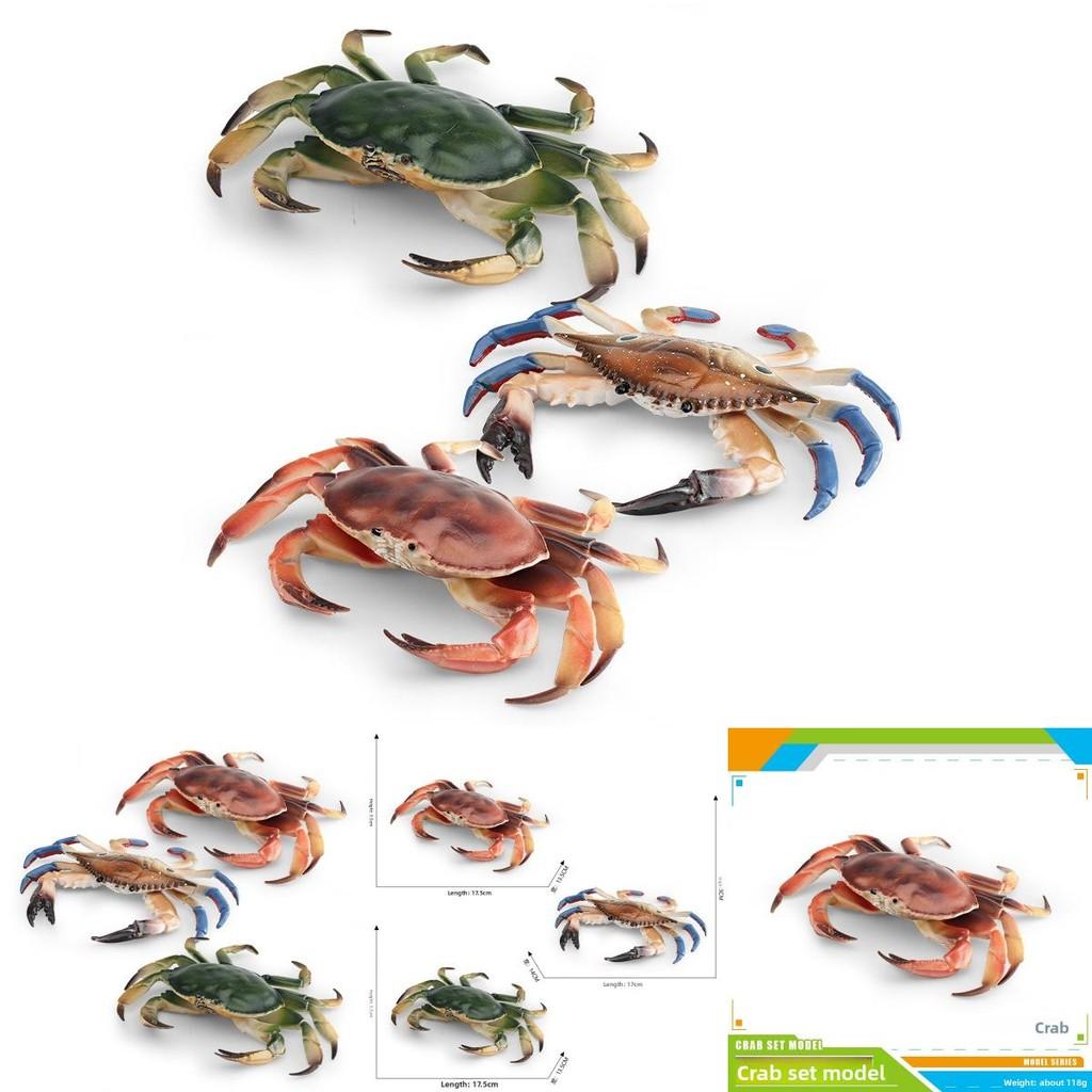 Marine Animal Crab Model With Realistic Design For Desktop Decor