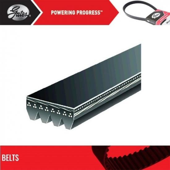 GATES OE Micro-V Belt for 1995-1997 HONDA ODYSSEY L4-2.2L