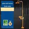 Anti-freeze Stainless Steel Emergency Shower & Eye Wash Station