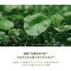 SKIN1004 Centella Ampoule Serum (55ml) Korean Cosmetics