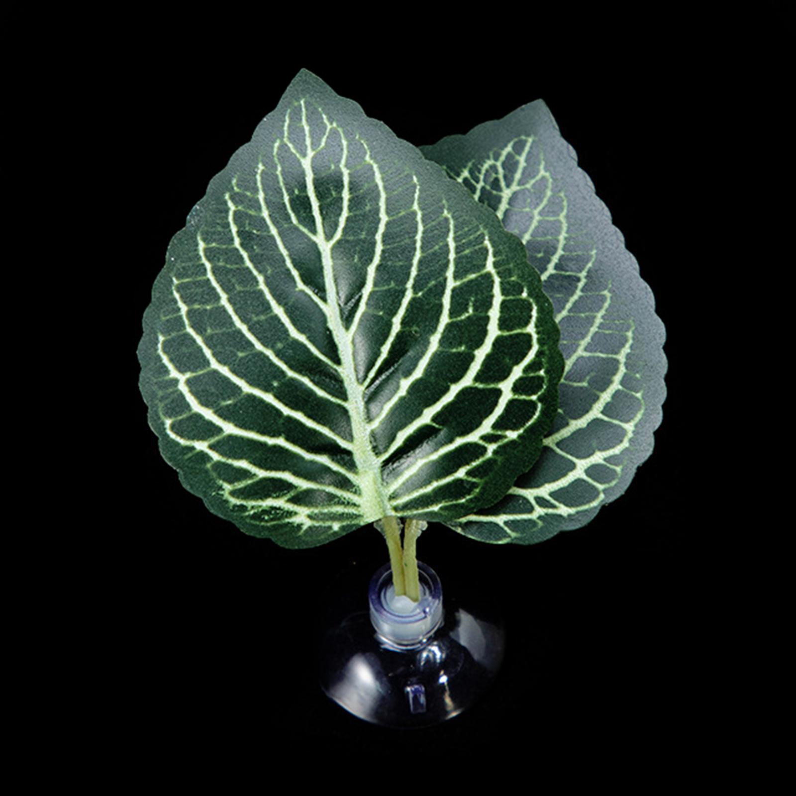 

Присоска для лежака из листьев для рыбок Betta, гамак, аквариумы, нерестилища, листовые подстилки, аквариумы, принадлежности для разведения Y6