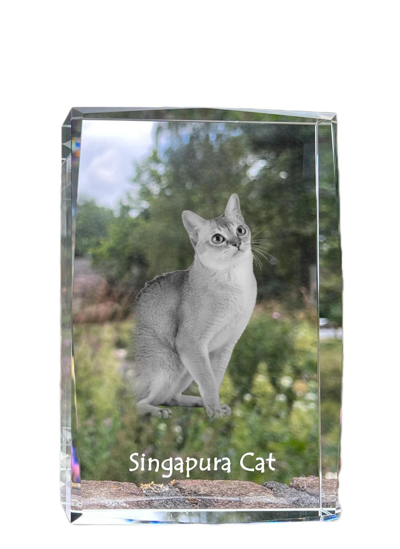 

Singapura - crystal with a picture of a cat, photo in glass, modern exhibition of Art-Dog brand photo прозорий