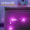 Luminoodle Luminoodle TV COLOR backlight (2m)
