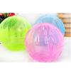 Hot Pet Play Exercise Rodent Jogging Mice Hamster Gerbil Rat Small Ball Plastic Toy
