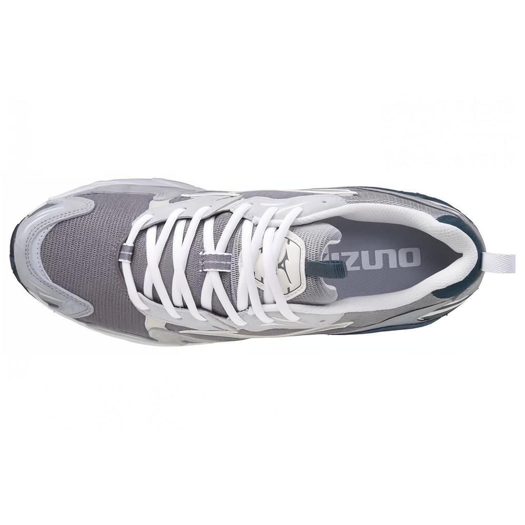 Mizuno Wave Rider 10 Premium 'Iron Gate' Men's D1GA222607