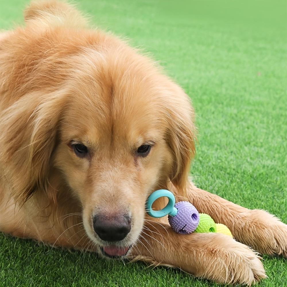 Large Dog Chew Toys Food Hiding Toys Teeth Grinding and Cleaning Gourd-shaped Teeth Grinding Sticks Dog Food Leakage Ball Chewin