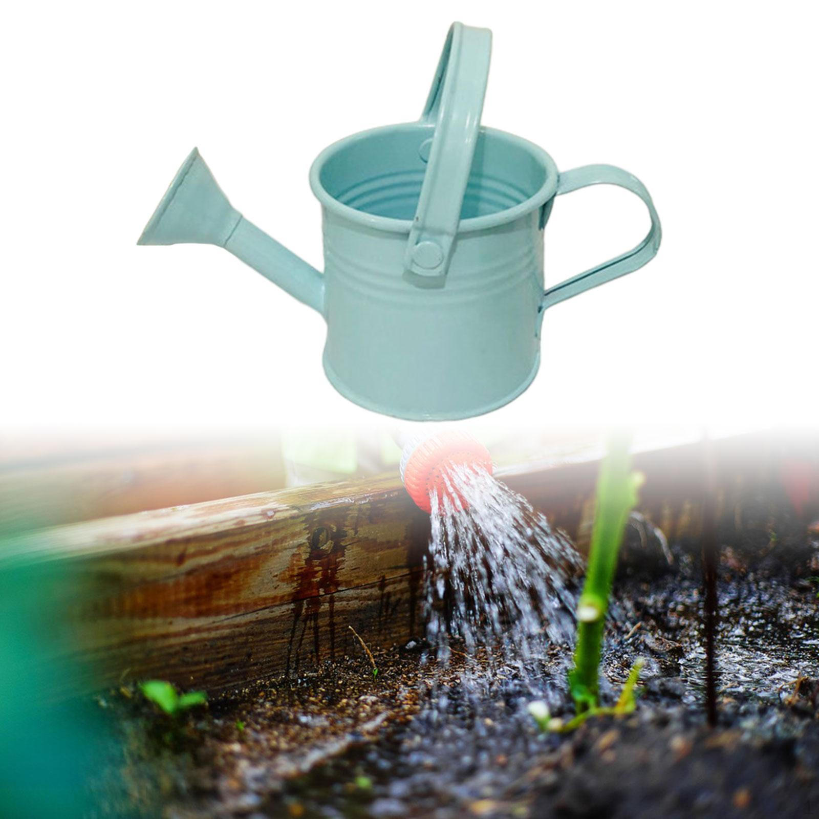 

Садовая лейка портативная простая в использовании с ручкой для полива горшков для комнатных растений