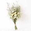 Natural Dried Flowers Gypsophila Bouquet Dried Flower Arrangement Floral Wedding Home Decoration Dried Flowers