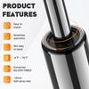 Hood Lift Supports for 1998-2005 Lexus GS300 GS400 2001-2005 GS430, 4536 Shocks Struts (Pack of 2)