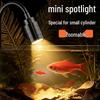 Pești și animale marine – Iluminare acvariu