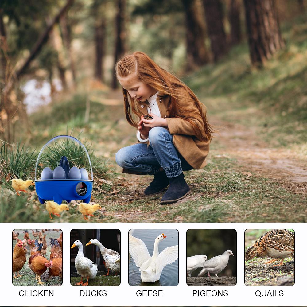 Incubators for Hatching Eggs 8 Egg Incubator with LED Light Temperature Control 360 Degree View
