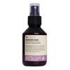Insight Damaged Hair Restructurizing Spray 100Ml