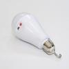 Flicker-Free Led Bulb Light Portable 20W 30W Emergency Bulb Courtyard Outdoor Bulb Power Failure Emergency