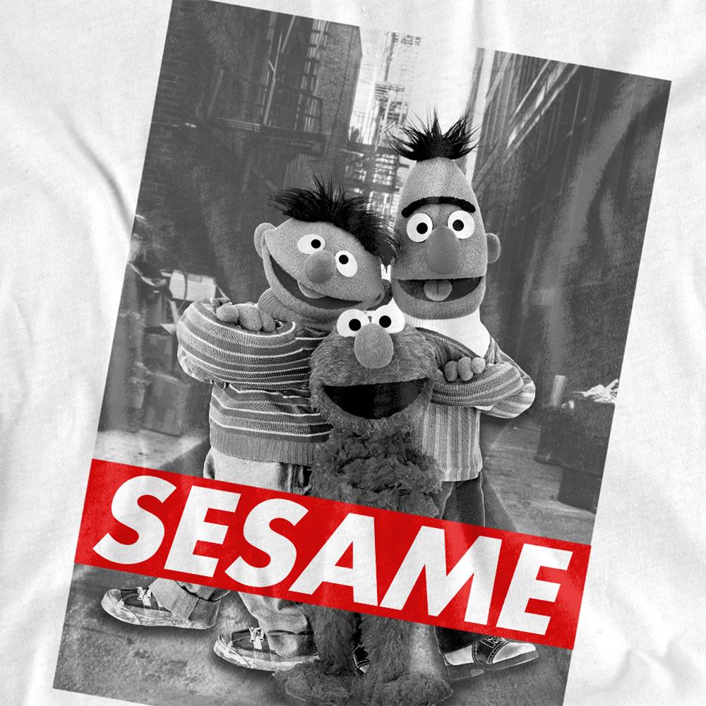 Sesame Street Unisex Adult Sesame T-Shirt