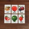 Magic Fruit Beginner Children's Playing Cards – Simple, Changeable, Special Edition