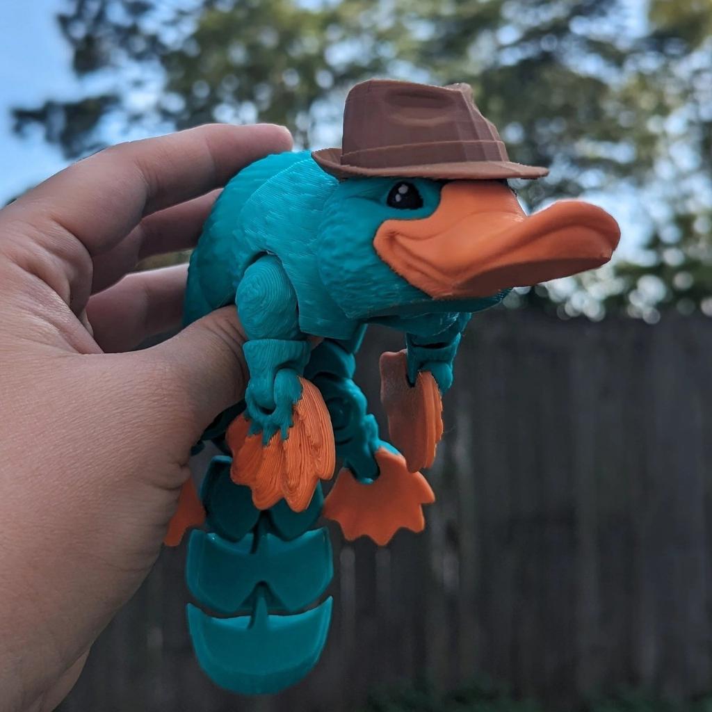 3D Printed Articulated Toys,3D Printed Animals Toy, Large Full Articulated Flexible Crystal Toys,Adults Toys
