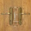 HAMILTON Door Handle with Toilet Plate 72mm ANTIQUE GOLD