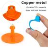 Blank Cattle Ear Tags - 100PCS Plastic Livestock Ear Tags Farm Animal Tags ID Tags Red Yellow Green Blue Orange Ear Tagger Cattle Ear Tags for Cow