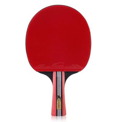 Raquette Ping Pong,Long,No3880,Débutant Divertissement Exercice Sideband Paddle Tennis Table Ensemble Raquettes Balle Ping-pong