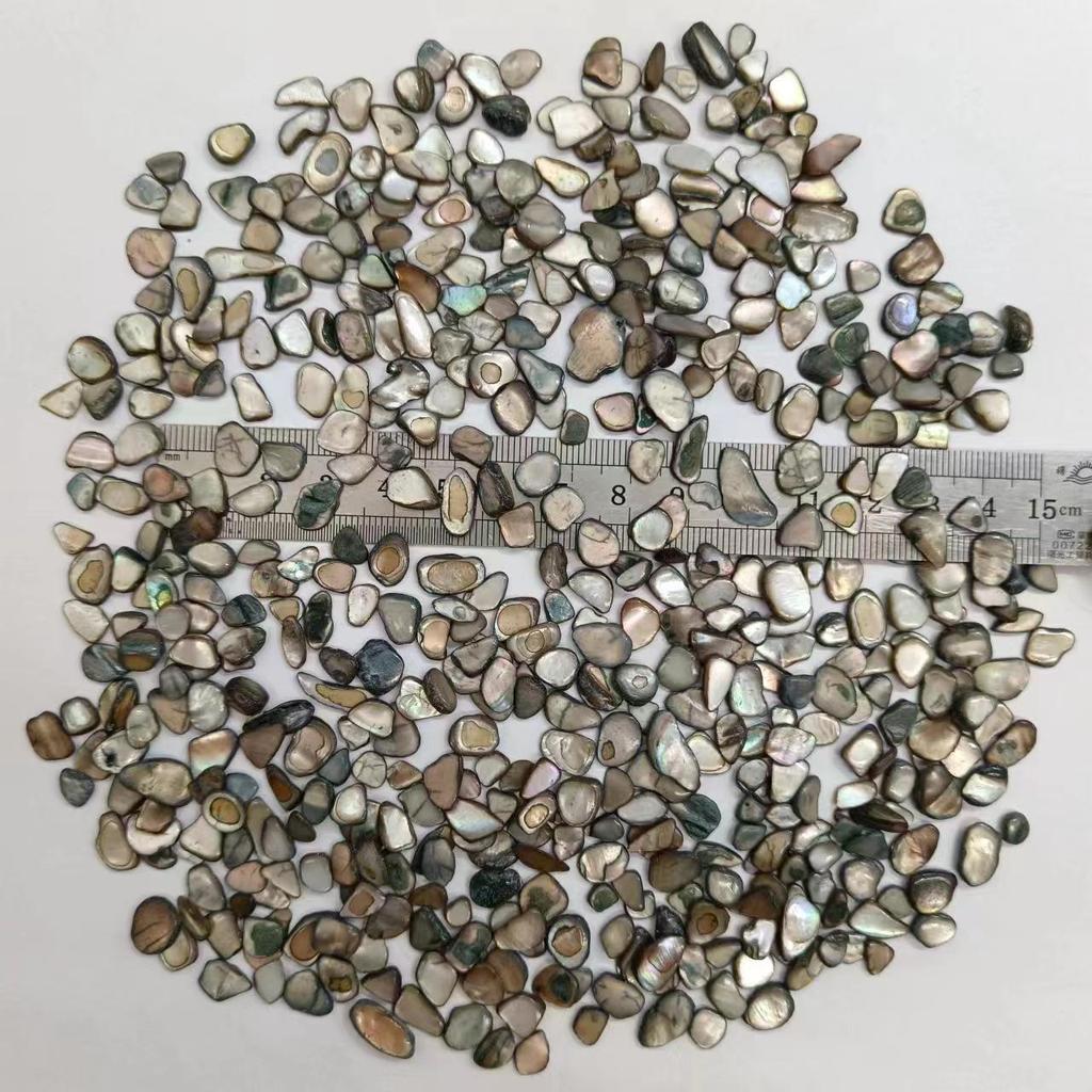 Piedras de Concha de Terrazzo Blanco y Negro de Nácar para Decoración de Acuario y Maceta
