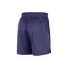 Nike NBA Mesh Shorts Loose Letter Print Drawstring Casual Shorts Men Shorts Purple FB3748-566