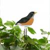 Bird Shape Plant Water Monitor Easy to Use Bird Chirping Alarm Soil Moisture Meter Smart Watering Alarm Reminder Hydroponics