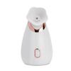 Facial Steamer Hot Spray Cross-border Home Facial Moisturizing Nanospray Watering Device Moisturizing Device Beauty Device Facia