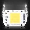 2pcs 50W COB LED Bulb AC110V Integrated Chip Light Source  For DIY Indoor Lighting