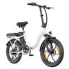 20-inch Folding Electric Bike 250W Motor 48V 16Ah Battery 25km/h 100km Range 20x3.0-inch Fat-Tire Electric Bicycle