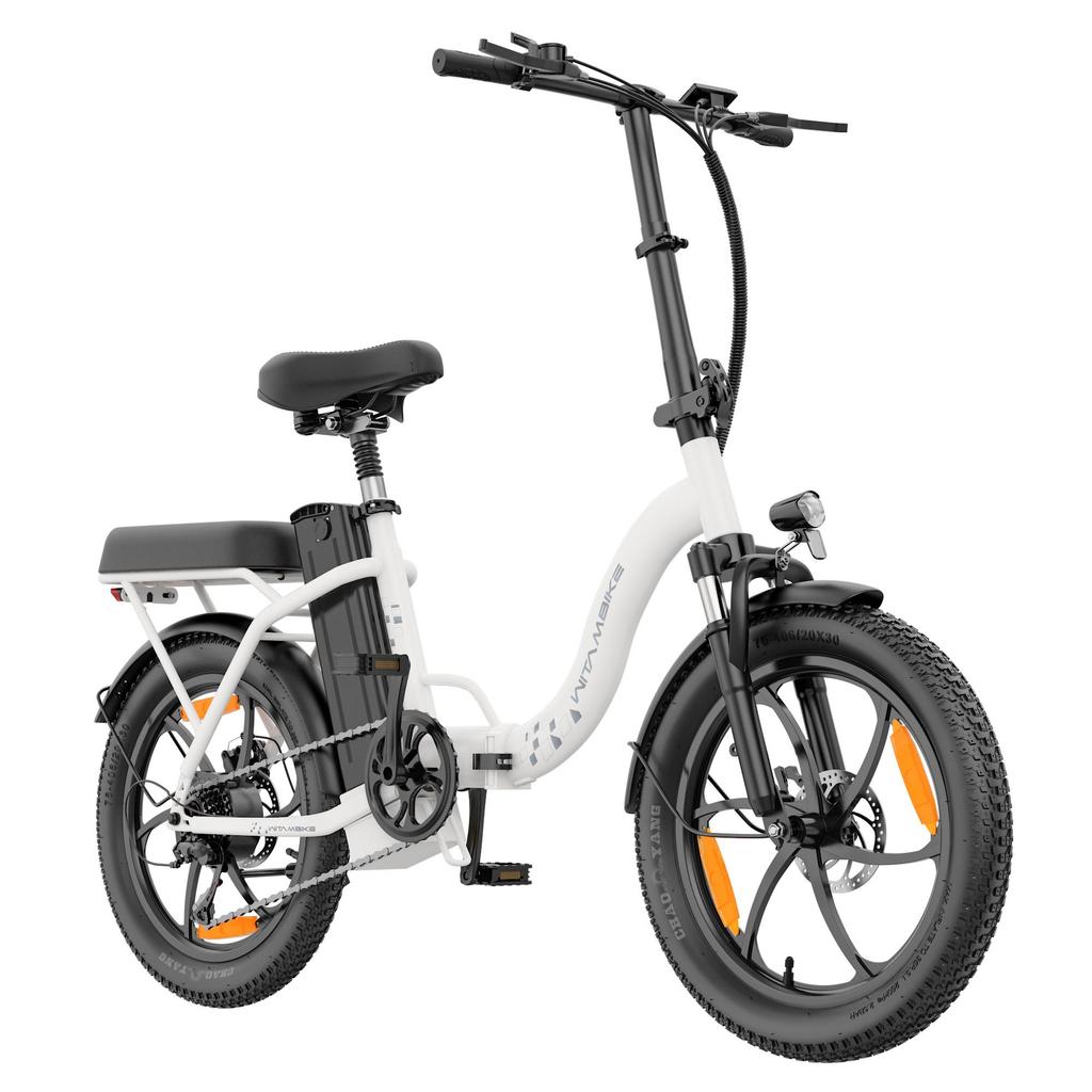 20-inch Folding Electric Bike 250W Motor 48V 16Ah Battery 25km/h 100km Range 20x3.0-inch Fat-Tire Electric Bicycle